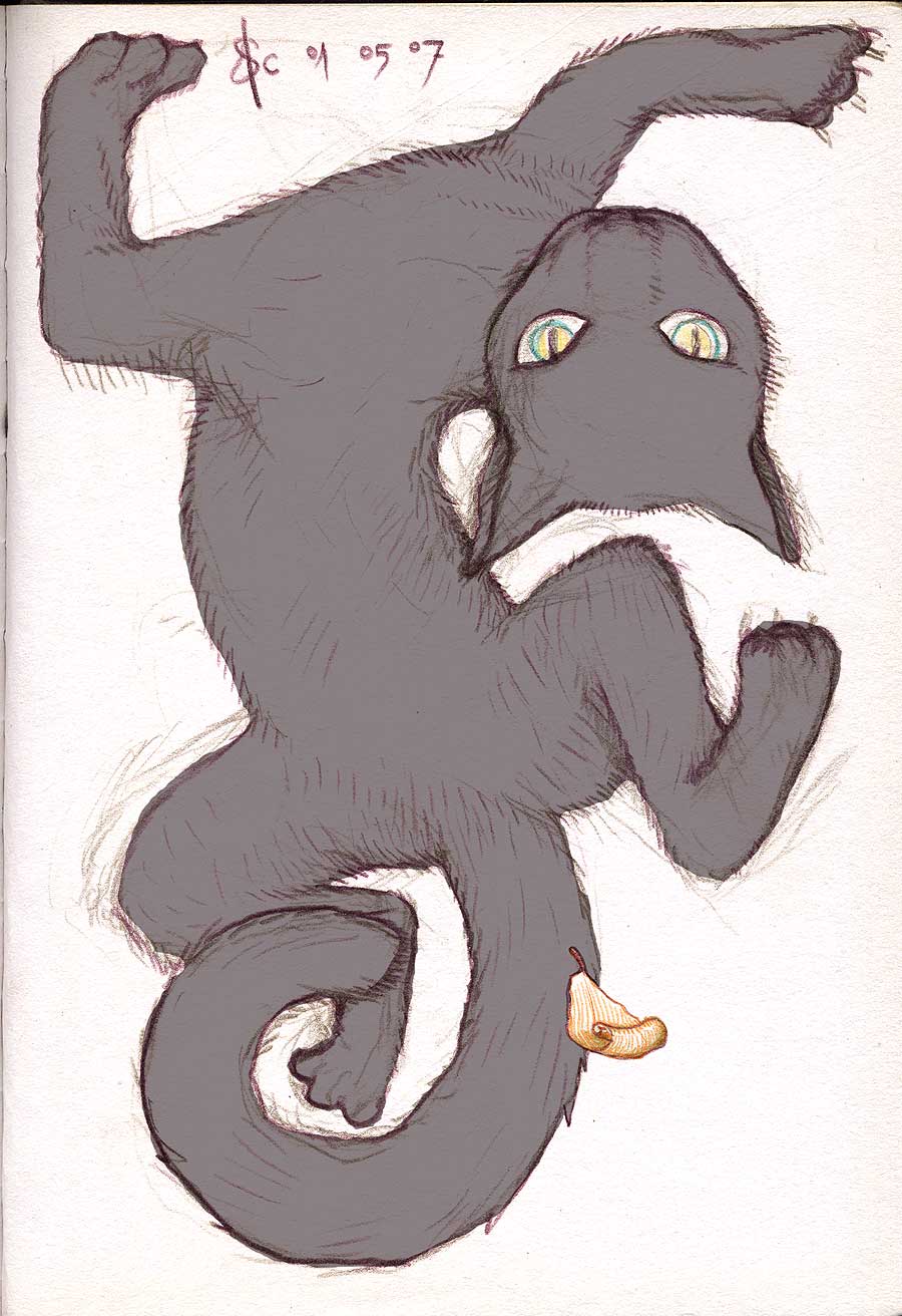 07-05-01_bicounette-s-efeui